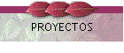 PROYECTOS