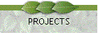 PROJECTS