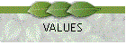 VALUES